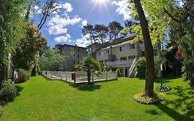 Apart Arbol del Cielo Cariló